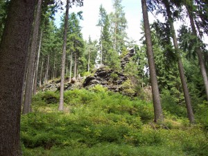 08 Wanderung, Felsen unterwegs